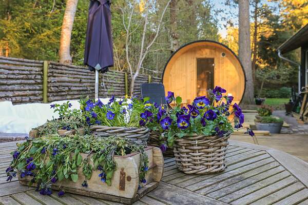 Hald Strand, North and East Zealand, Denmark, Holiday home 65360
